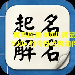 属鸡的和 🐎 属鼠 🌻 的今日运势如何